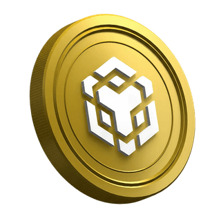 Página de guía para nuevos traders con la moneda criptomoneda Binance BNB